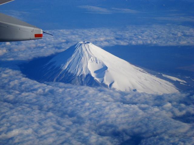 DSC04231.jpg