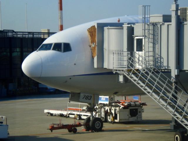 DSC04251.jpg