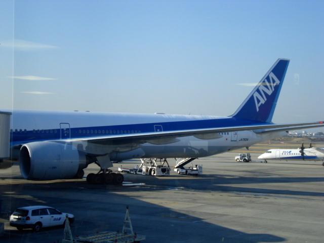 DSC04258.jpg