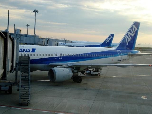DSC04184.jpg