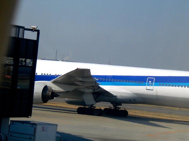 DSC04295.jpg