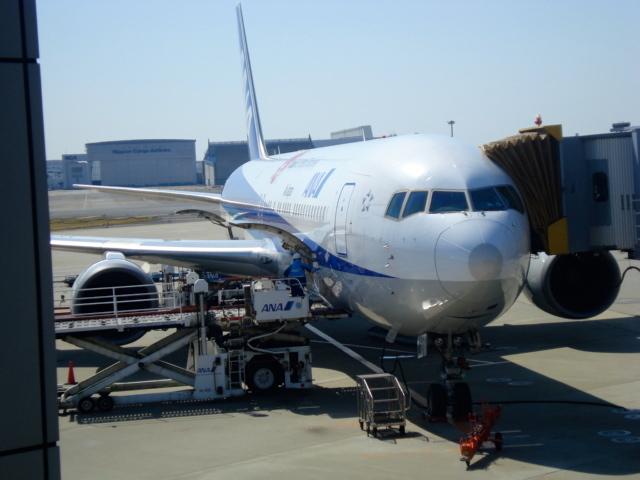 DSC04357.jpg