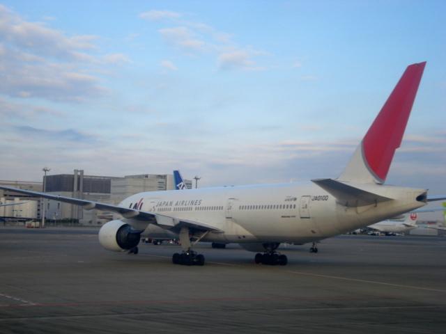 DSC04213.jpg