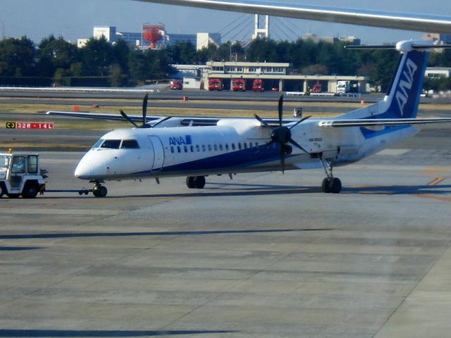DSC04257.jpg