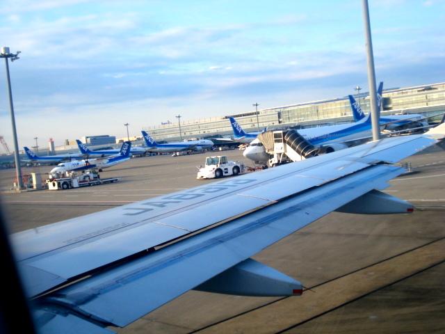 DSC04204.jpg