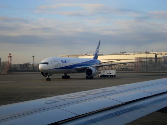 DSC04215.jpg