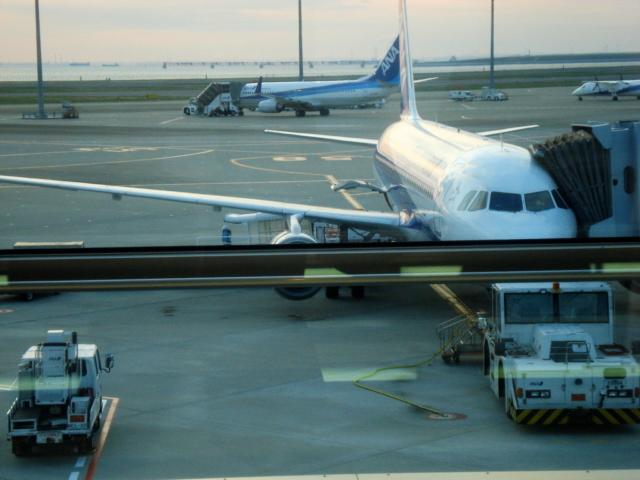 DSC04178.jpg