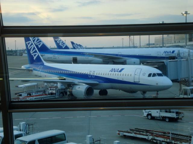 DSC04173.jpg