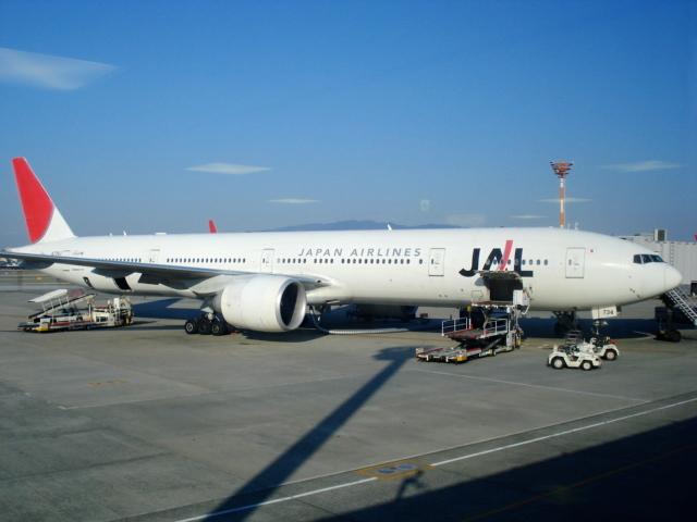 DSC04253.jpg