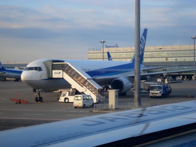 DSC04206.jpg