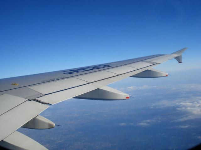 DSC04228.jpg