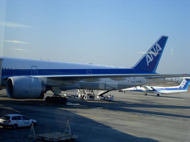 DSC04259.jpg