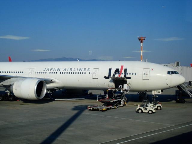 DSC04254.jpg