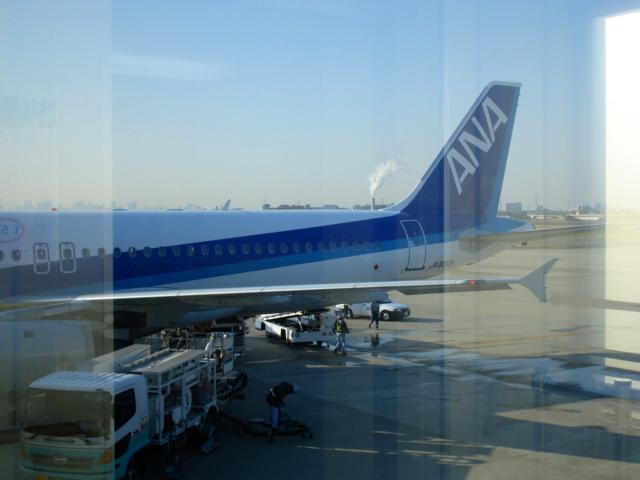 DSC04243.jpg
