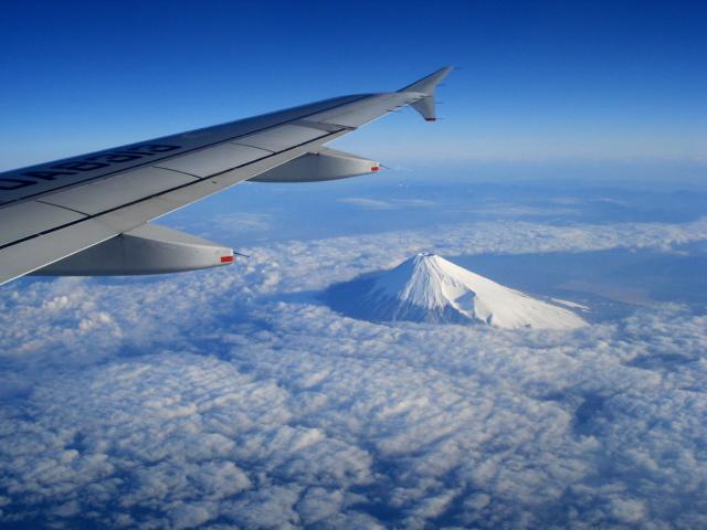 DSC04233.jpg