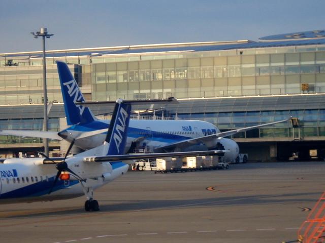 DSC04205.jpg