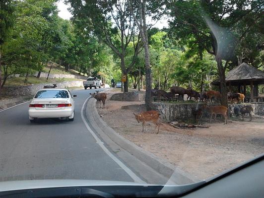 รูป​ถ่าย3084_resize.jpg