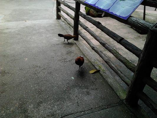 รูป​ถ่าย3076_resize.jpg