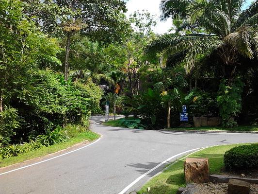 รูป​ถ่าย3127_resize.jpg