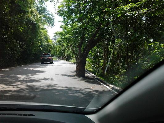 รูป​ถ่าย3096_resize.jpg