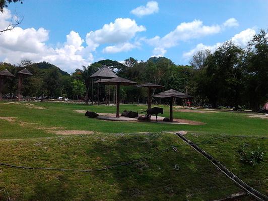 รูป​ถ่าย3031_resize.jpg