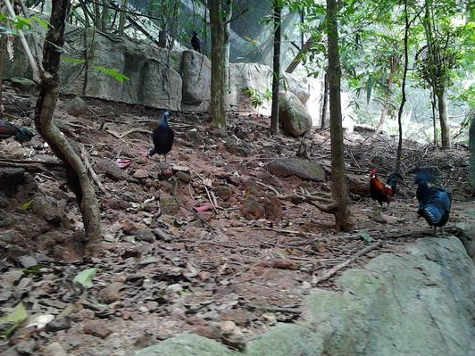 รูป​ถ่าย3067_resize.jpg