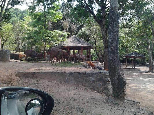 รูป​ถ่าย3085_resize.jpg
