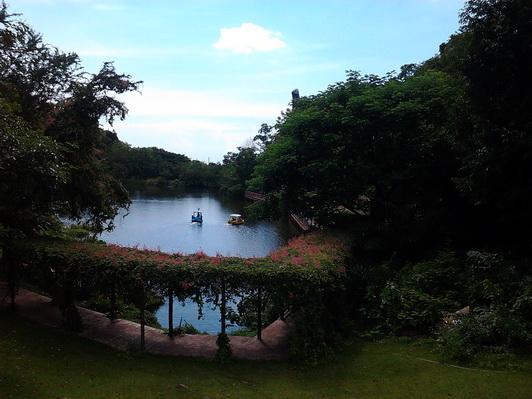 รูป​ถ่าย3139_resize.jpg