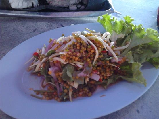 รูป​ถ่าย2951_resize.jpg