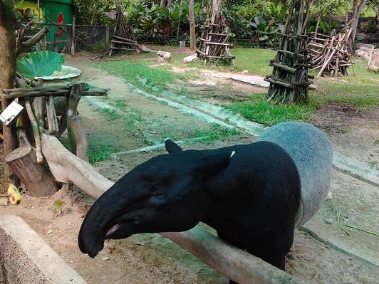 รูป​ถ่าย3090_resize.jpg