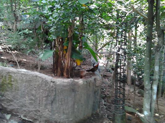 รูป​ถ่าย3041_resize.jpg