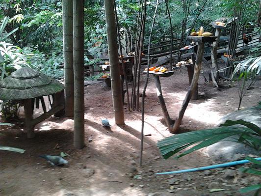 รูป​ถ่าย3068_resize.jpg