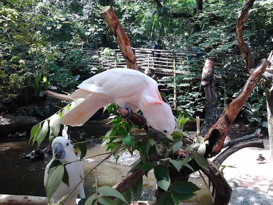 รูป​ถ่าย3036_resize.jpg