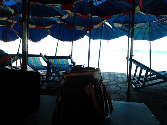 รูป​ถ่าย2932_resize.jpg