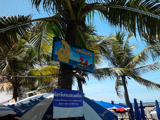รูป​ถ่าย2954_resize.jpg