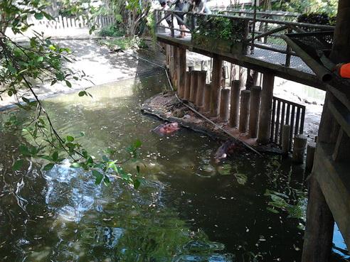 รูป​ถ่าย3021_resize.jpg