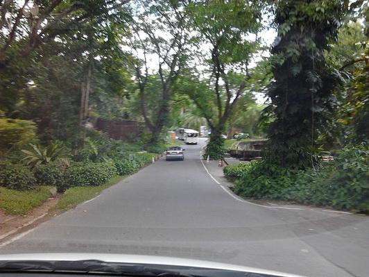 รูป​ถ่าย3079_resize.jpg