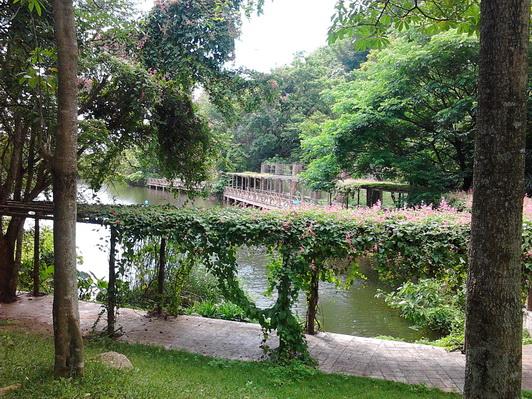 รูป​ถ่าย3138_resize.jpg