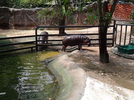 รูป​ถ่าย3018_resize.jpg