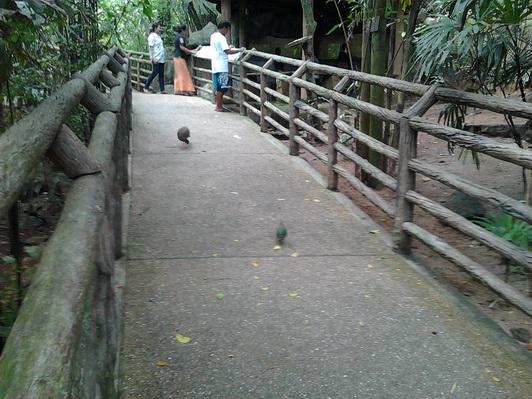 รูป​ถ่าย3070_resize.jpg