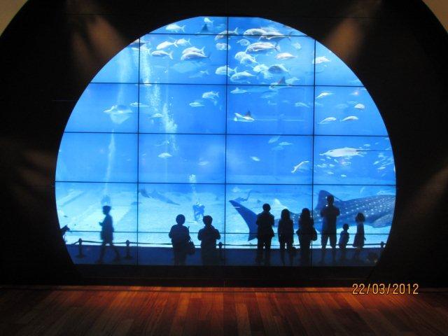 thailand april2012 066.jpg