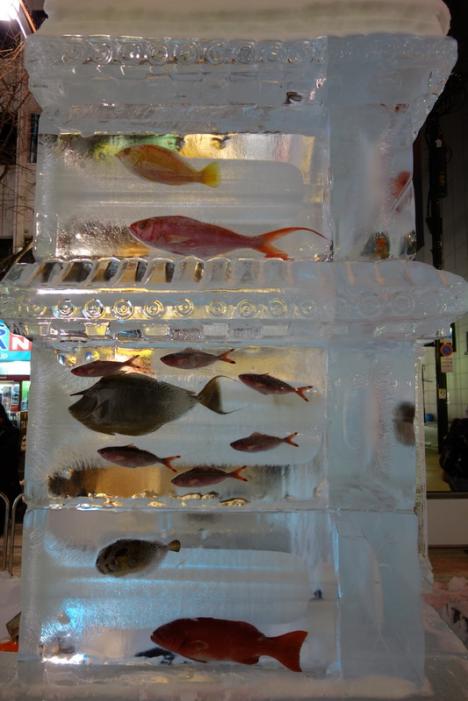 DSC04394_resize.JPG