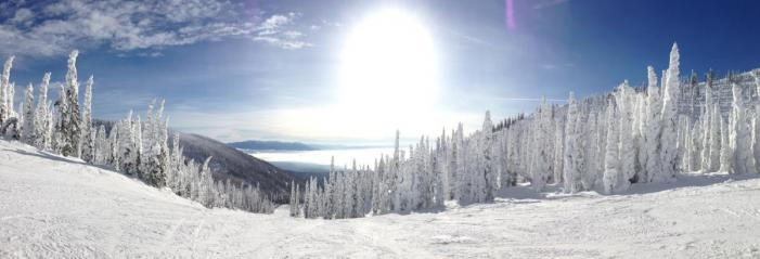 2013-01-17 11.36.30.jpg