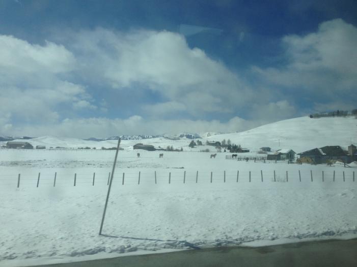 2013-03-24 12.18.24.jpg