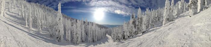 2013-01-16 15.38.37.jpg