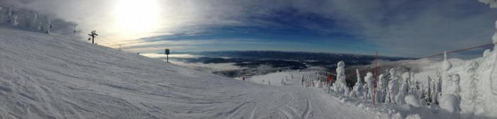 2013-01-16 11.46.06.jpg