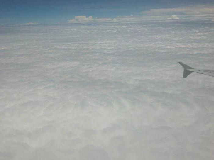319986_10151606517790505_751663515_n.jpg