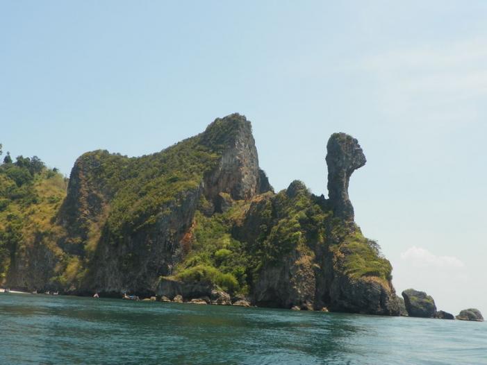 100_0659_resize.JPG