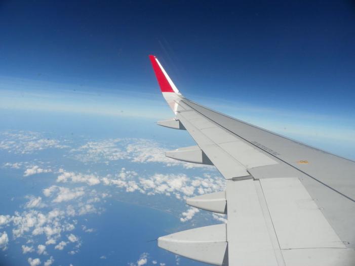 100_1081_resize.JPG