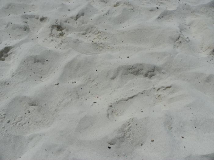 100_0867_resize.JPG